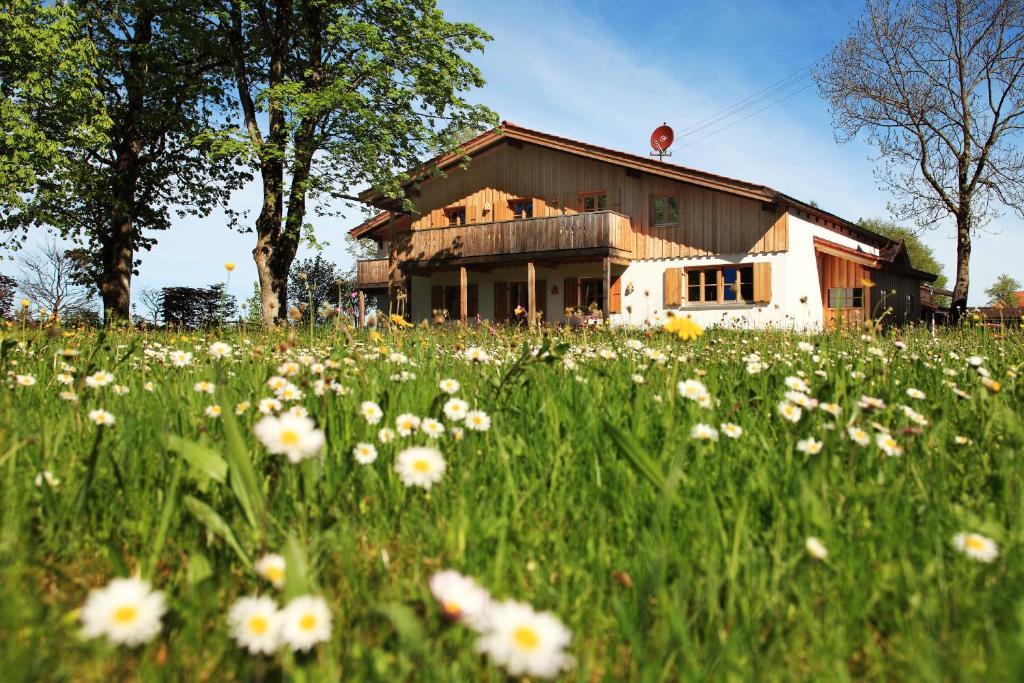 Luna Mia - Apartments Schwangau Bagian luar foto